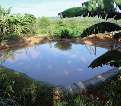 Bassin de stockage des eaux